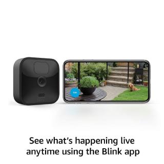 1 Blink Wireless Camera image