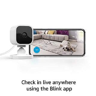 Blink Mini Camera Single Pack image